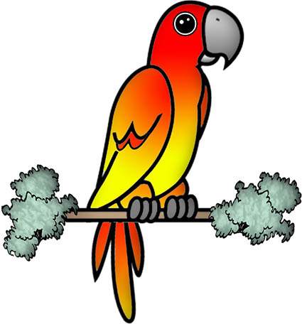 parrot_3