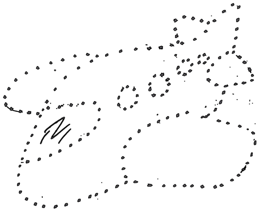 airplane_dotted line