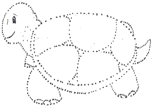 turtle_for tracing